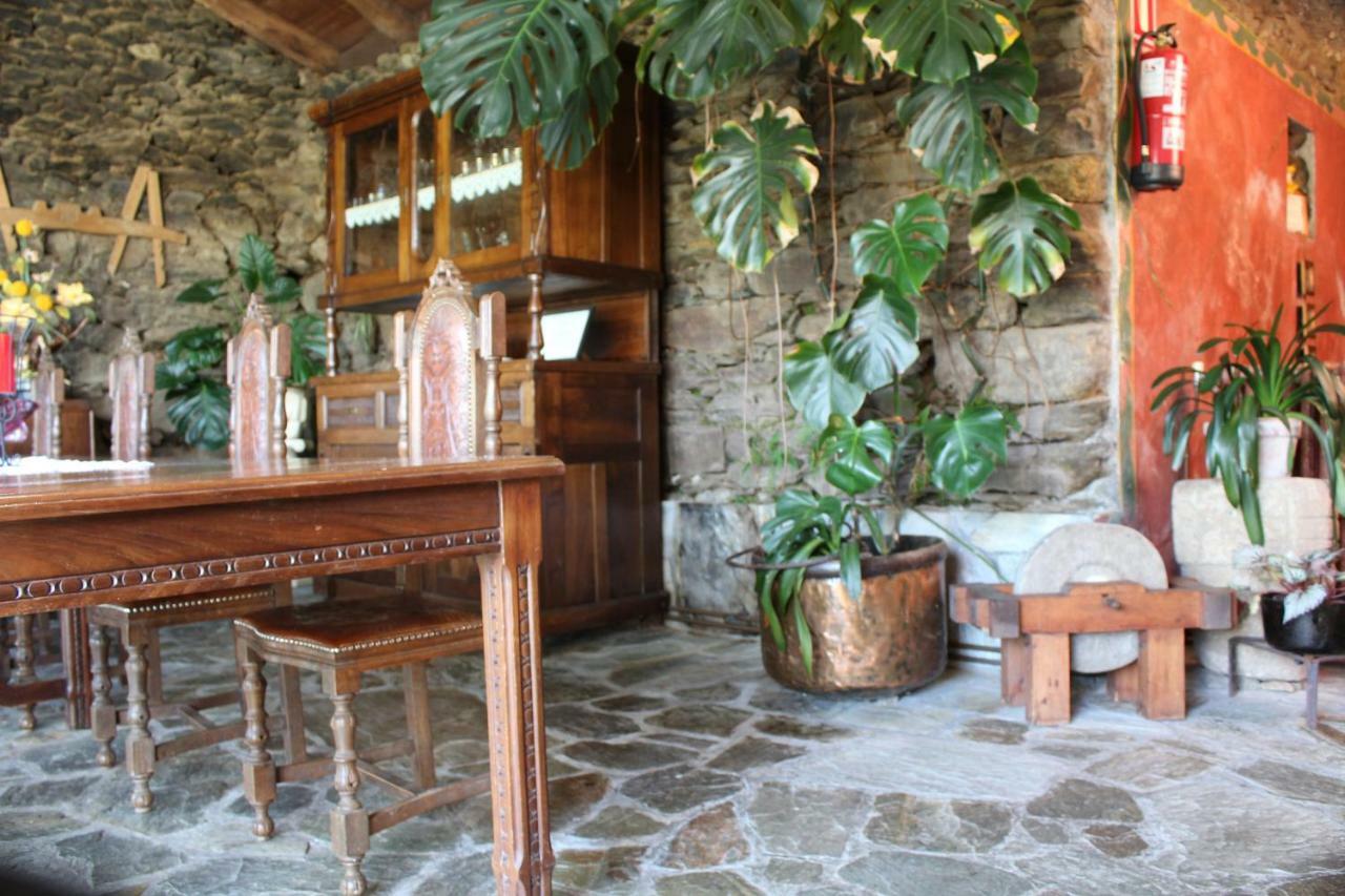 Casa Vixide
